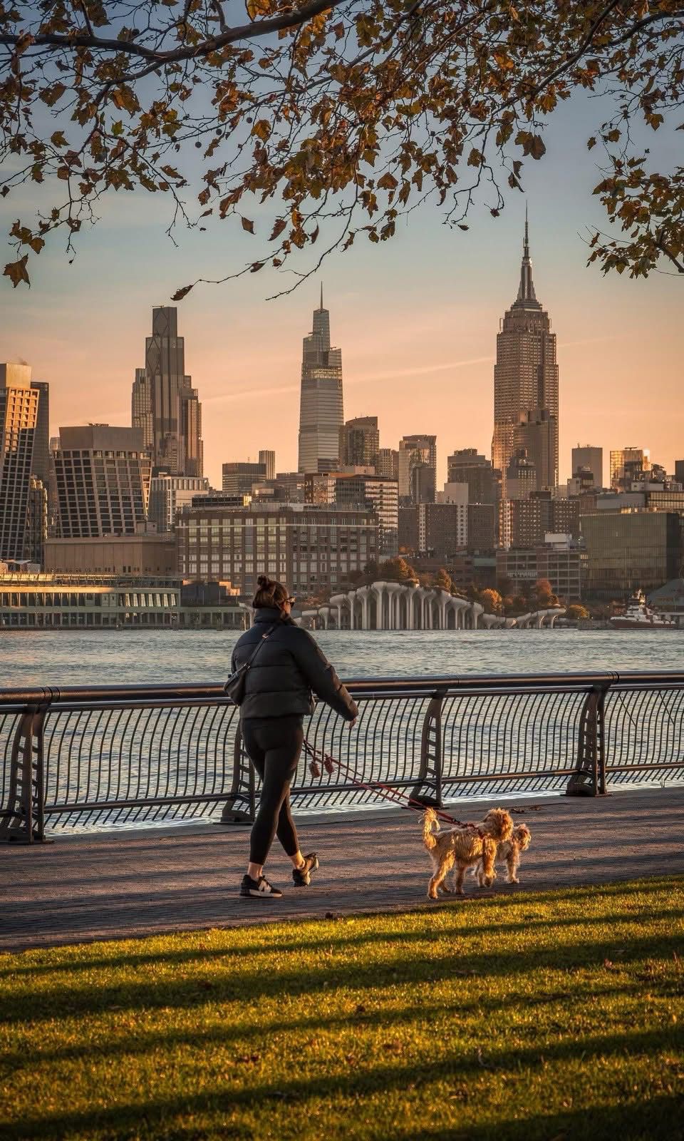 WhatsApp Image 2025-11-24 at 15.29.54 (2)