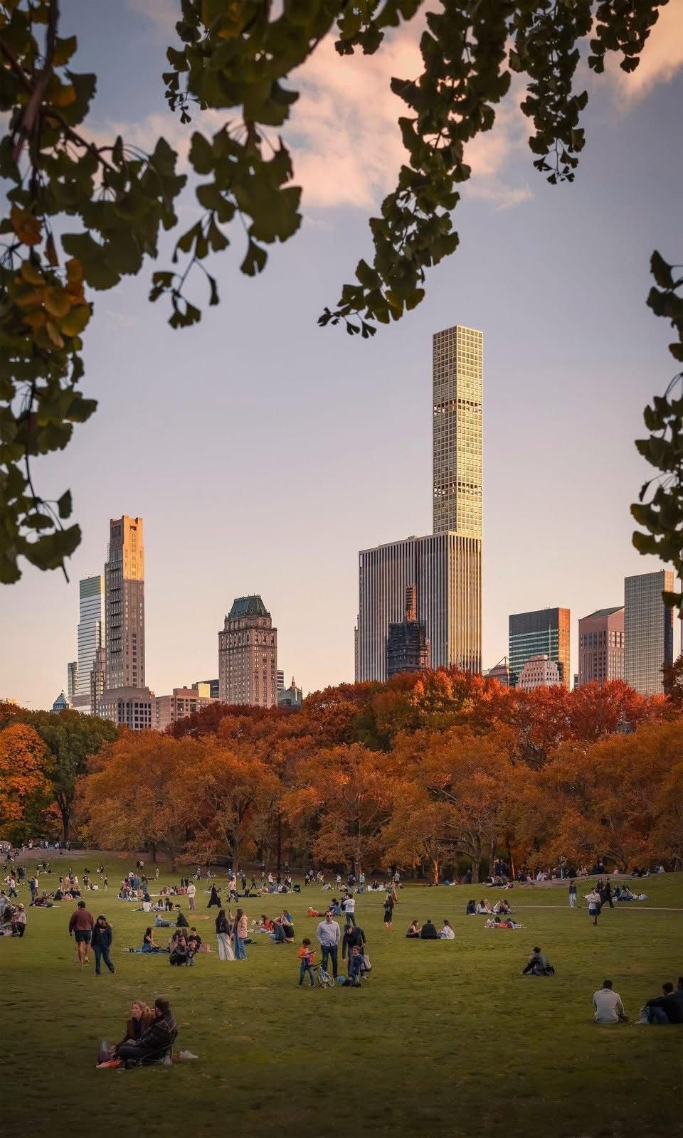 WhatsApp Image 2025-11-24 at 15.29.54