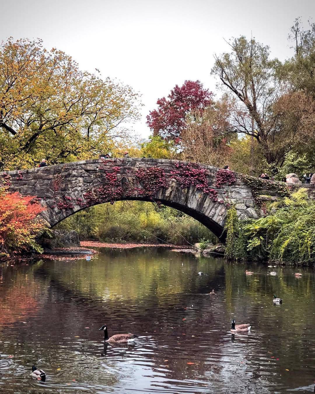 WhatsApp Image 2025-11-24 at 15.29.55 (2)