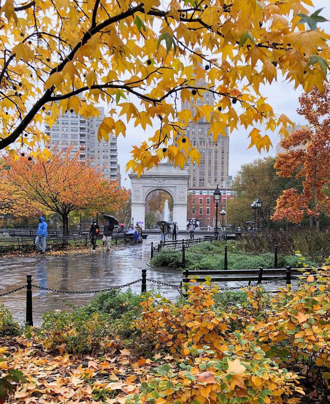 WhatsApp Image 2025-11-24 at 15.29.55 (3)