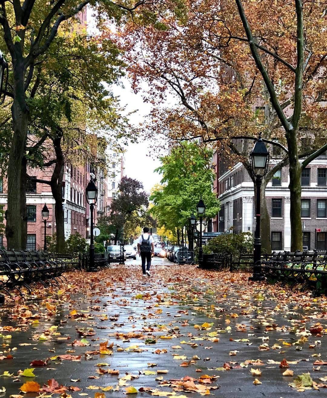 WhatsApp Image 2025-11-24 at 15.29.55 (4)